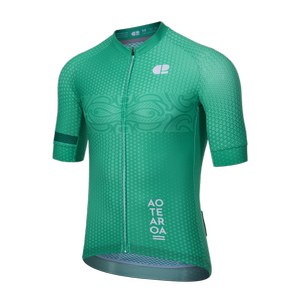 CHAPTER 2 AOTEAROA LIGHT GREEN