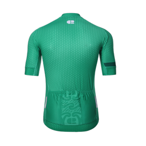 CHAPTER 2 AOTEAROA LIGHT GREEN