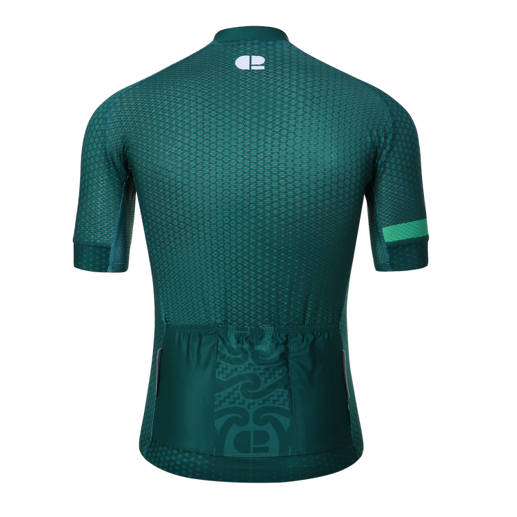 CHAPTER 2 AOTEAROA DARK GREEN