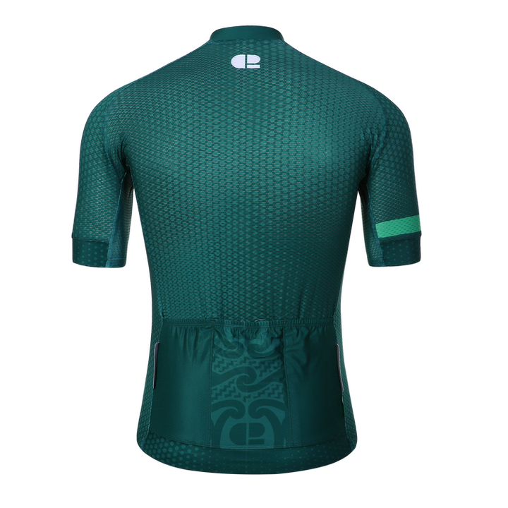 CHAPTER 2 AOTEAROA DARK GREEN