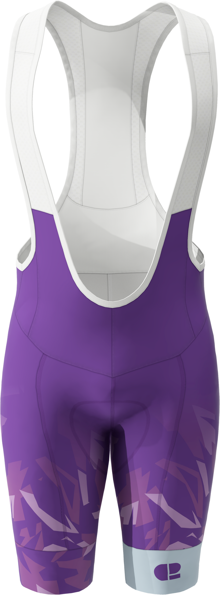C2 PURPLE BIB SHORTS