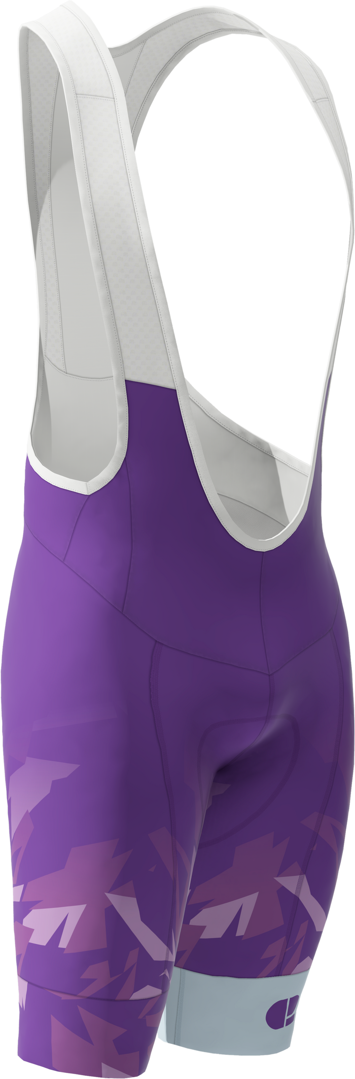 C2 PURPLE BIB SHORTS