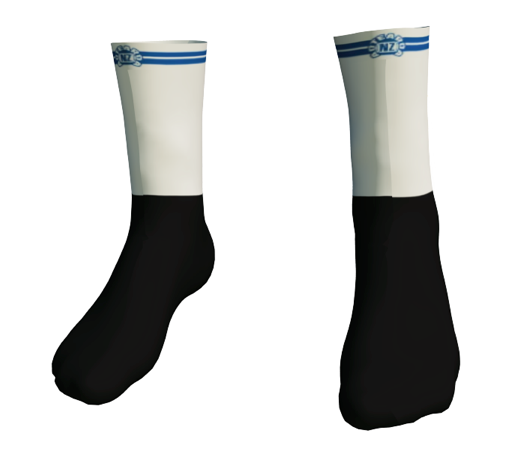 AERO 2.0 SOCKS - WHITE